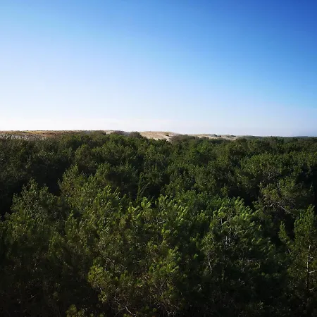 Les Terrasses De L'ocean *